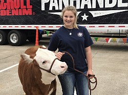 Lauren and Duke got 5th at the Houston Live Stock Show in the Miniature Hereford Open Show